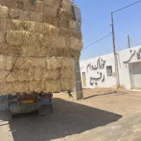 کاه گندم نرم|عمده‌فروشی|مشهد, مهدی آباد|دیوار