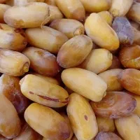 فروش رطب