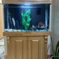 اکواریوم شرکتی