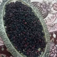 اخته زغال خشک