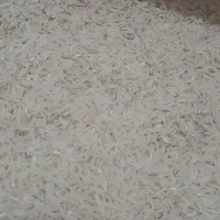 برنج فجر سوزنی