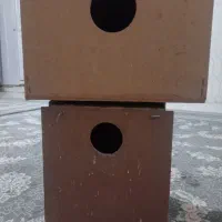 لانه پرنده
