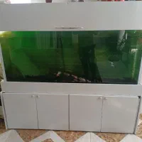 آکواریوم بزرگ