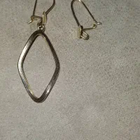 گوشواره طلا گمشده ،تحویل مژدگانی داده میشود