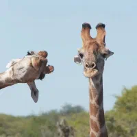 تور کویر (با گروه رسمی و معتبر)