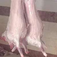 گوشت قرمز