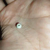 مهره اصل بودایی مهرها اصل انرژی|کلکسیون اشیاء عتیقه|کرمان, |دیوار