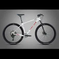 دوچرخه|دوچرخه، اسکیت، اسکوتر|کیش, |دیوار