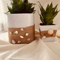 گل سانسوریا پاکوتاه