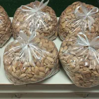 بادام انزل|عمده‌فروشی|انزل, |دیوار