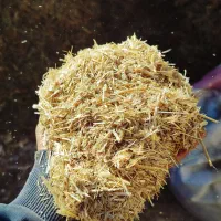 کاه|لوازم جانبی حیوانات|هریس, |دیوار