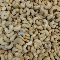 مغز بادام هندی خش