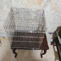 دو عدد قفس پرنده|لوازم جانبی حیوانات|اصفهان, ارغوانیه|دیوار