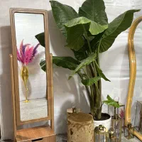 آینه قدی. ایستاده