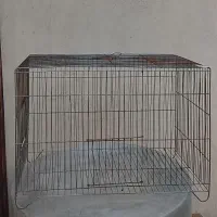 قفس پرنده