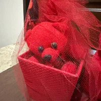 حراج عروسک|اسباب‌‌بازی|زنجان, |دیوار