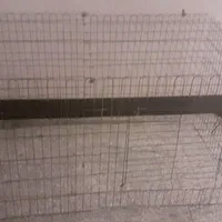 لوازم جانبی حیوانات