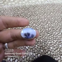 شجر قائن دست ساز|جواهرات|قرچک, زیبا شهر|دیوار