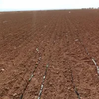 چاه وقنات ورودخانه و450هکتارزمین  در نیشابور|فروش دفتر صنعتی، کشاورزی، تجاری|نیشابور, ماروسک|دیوار