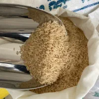 برنج دودی هاشمی «کالابرگ»