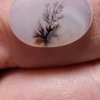 سنگ شجر قاعن|جواهرات|رباط‌کریم, کیکاور|دیوار