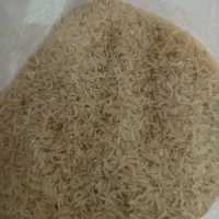 برنج فجر سوزنی مطمئن بدون قاطی|خوردنی و آشامیدنی|گنبد کاووس, |دیوار