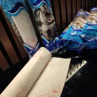 دستمال کاغذی و محصولات پلاستیکی ب قیمت تولیدی|عمدهفروشی|رامسر, |دیوار