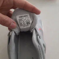 کفش و کتونی|کیف، کفش، کمربند|رودهن, |دیوار