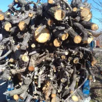 چوب بری|خدمات باغبانی و درختکاری|نظرآباد, رسالت|دیوار