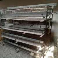 قفس نگهداری بلدرچین تخمگذار|لوازم جانبی حیوانات|خسروشاه, |دیوار