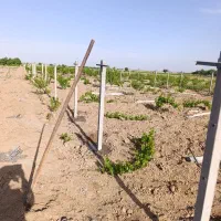 پایه بتنی|مصالح و تجهیزات ساختمان|زرندیه, |دیوار