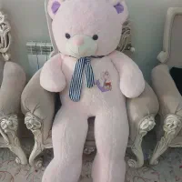 خرس بزرگ صورتی