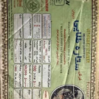فرش ۶ متری ۵۰۰ شانه ستاره طلایی دلیجان