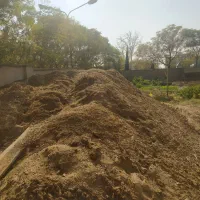 فروش کود حیوانی تمیز بدون آشغال|خدمات باغبانی و درختکاری|تهران, شهرک علم و فناوری|دیوار