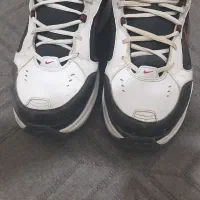 کفش اصلی درحدنو|کیف، کفش، کمربند|سنندج, |دیوار