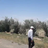 ۶۰۰ هکتار زمین|فروش زمین و ملک کلنگی|ملکآباد, |دیوار