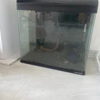 اکواریوم aqua600