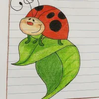 دفتر|لوازم التحریر|بیرجند, |دیوار