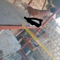 سلام لطفن بخون