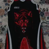 لباس کشتی (دوبندی)