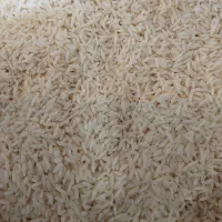 برنج‌ محلی دورود