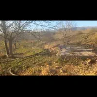فروش باغ گردو|فروش زمین و ملک کلنگی|کیاسر, |دیوار
