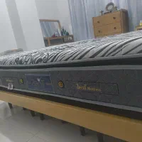 تشک (خوشخواب) زنیت