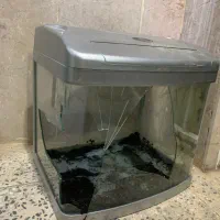 اکواریوم شیشه خم