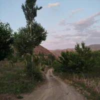باغ میوه وتفرجگاه|فروش زمین و ملک کلنگی|مشهد, جاهد شهر|دیوار