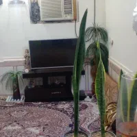 رهن منزل ویلایی جاده صاحب|اجارهٔ خانه و ویلا|شوشتر, |دیوار