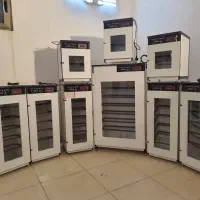 دستگاه ـ جوجه کشی ـ بوقلمون مرغـ و... vrqw