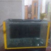 اکواریوم ۱۰ میل سایز بزرگ