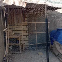قفس یا توربندی
