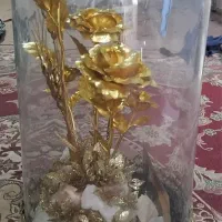 باکس گل آب طلا